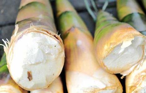 竹笋不能和什么一起吃？