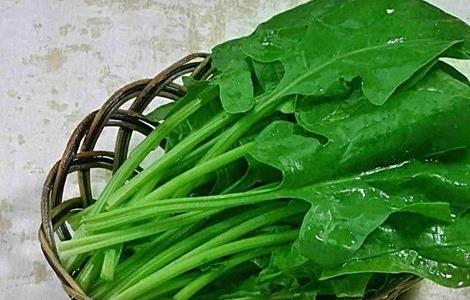 韭菜和什么不能一起吃