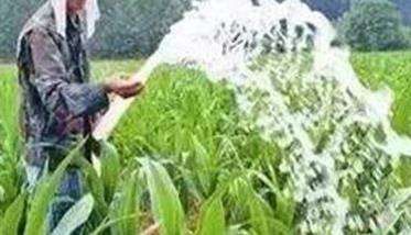 玉米各生长阶段的需水特点 玉米灌溉技术与多久?