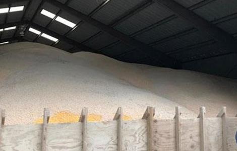 大豆储藏注意事项