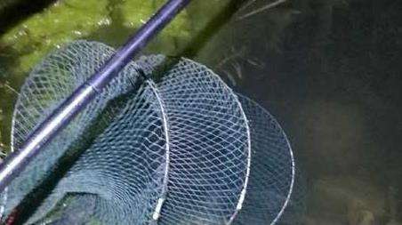 野钓是什么意思