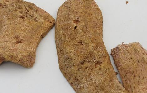 大黄的功效与作用