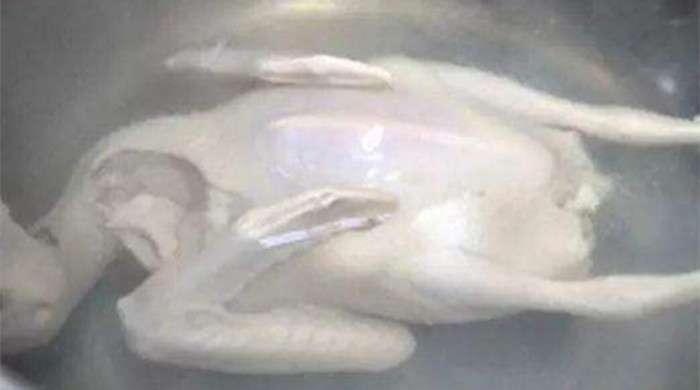 鸽子汤的做法