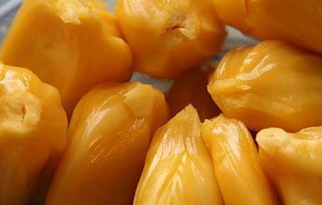 菠萝蜜不能和什么同吃?