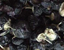 野生黑枸杞的功效与作用（野生黑枸杞怎么吃）