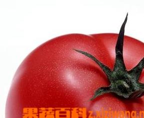 如何挑选西红柿