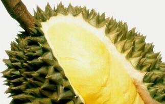 不能和榴莲一起吃的食物