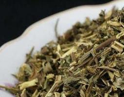 女人喝猫须草的好处（什么人不能喝猫须草）