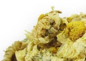 怀菊花茶的功效与作用（喝怀菊花茶的好处）