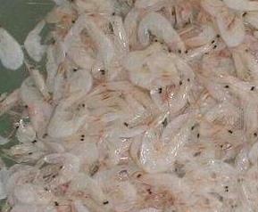 虾皮是什么（吃虾皮的好处有哪些）