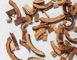 请问秦皮的功效与作用