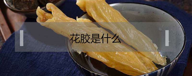 请问花胶是什么？