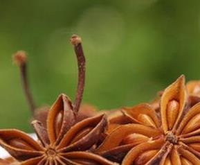 八角是什么（八角的功效与作用）