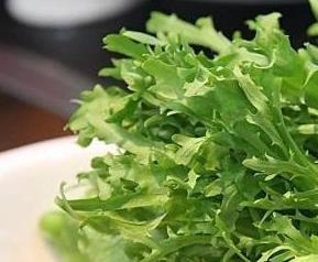苦苣菜功效与作用