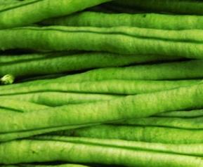 豇豆的食疗作用和营养分析（豇豆食疗价值）