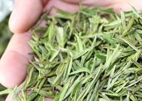安吉白茶的保健功效有哪些？
