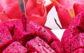 吃火龙果的好处（吃火龙果有哪些坏处）