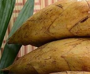 冬笋的营养价值与功效