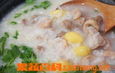 猪肺白果粥如何做（猪肺白果粥的材料和做法步骤教程）