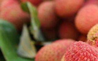 荔枝怎么保存（荔枝保鲜的方法技巧）