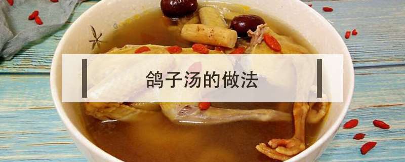 请问鸽子汤的做法