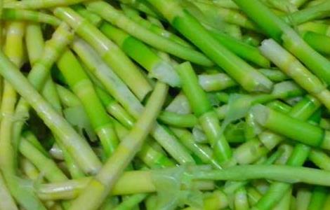 竹笋不能和什么一起吃？