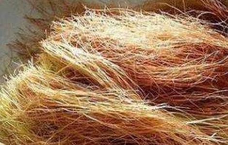 玉米须的功效与作用禁忌