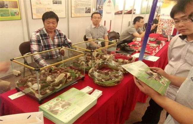 养殖蜗牛如何提高成活率
