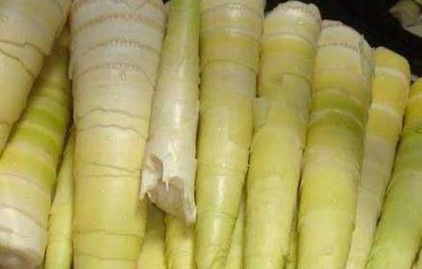 吃竹笋会不会过敏？