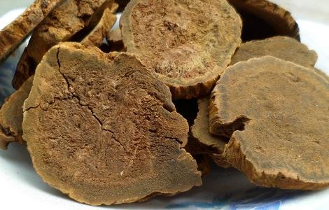 大黄的功效与作用