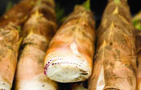 吃竹笋可以减肥吗？