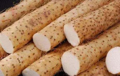 山药功效与作用