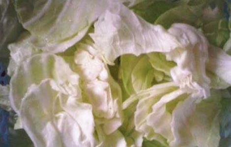 孕妇能吃卷心菜吗?