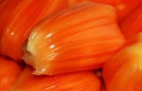 菠萝蜜不能和什么同吃?